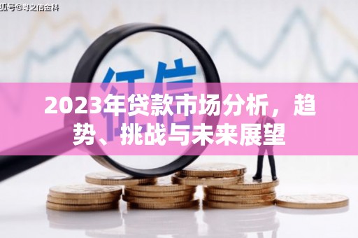 囊谦2023年贷款市场分析，趋势、挑战与未来展望