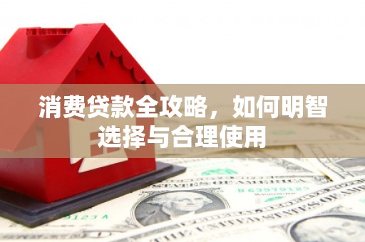 囊谦消费贷款全攻略，如何明智选择与合理使用