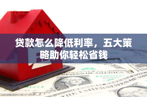 囊谦贷款怎么降低利率，五大策略助你轻松省钱