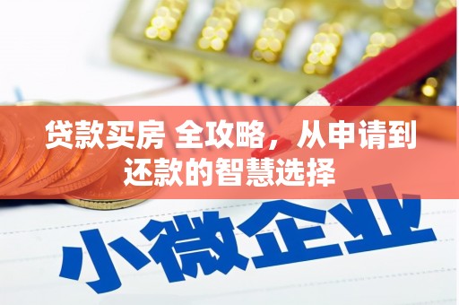 囊谦贷款买房 全攻略，从申请到还款的智慧选择