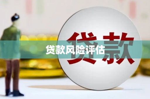 囊谦贷款风险评估