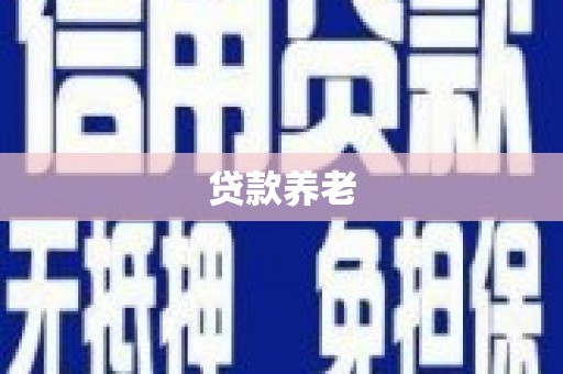 囊谦贷款养老