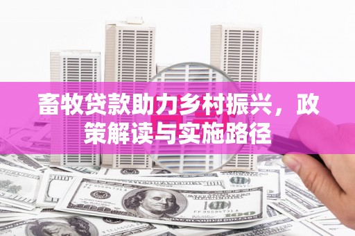囊谦畜牧贷款助力乡村振兴，政策解读与实施路径