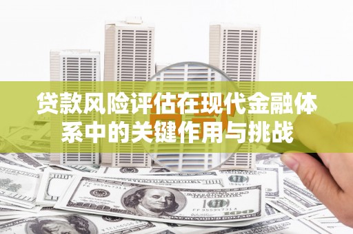 囊谦贷款风险评估在现代金融体系中的关键作用与挑战