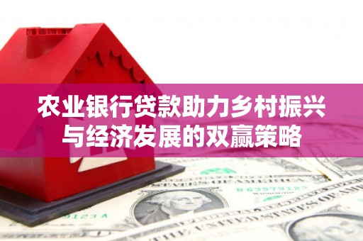 囊谦农业银行贷款助力乡村振兴与经济发展的双赢策略