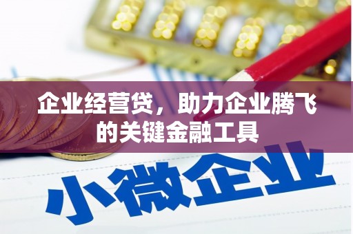 囊谦企业经营贷，助力企业腾飞的关键金融工具
