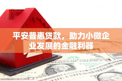 囊谦平安普惠贷款，助力小微企业发展的金融利器