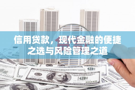 囊谦信用贷款，现代金融的便捷之选与风险管理之道