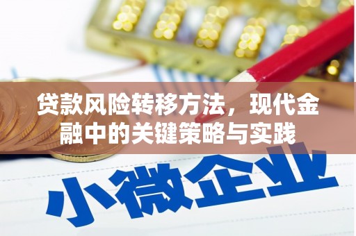 囊谦贷款风险转移方法，现代金融中的关键策略与实践