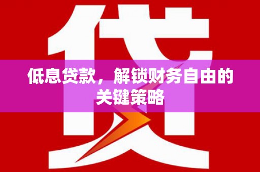 囊谦低息贷款，解锁财务自由的关键策略