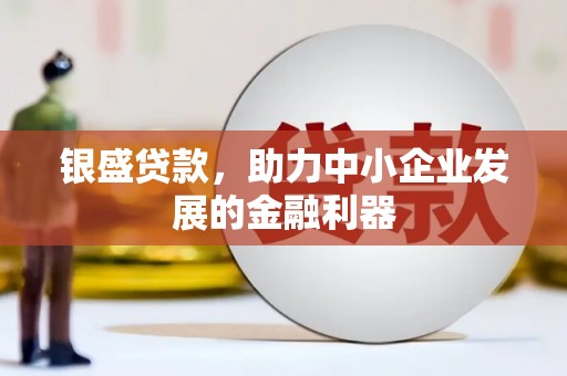 囊谦银盛贷款，助力中小企业发展的金融利器