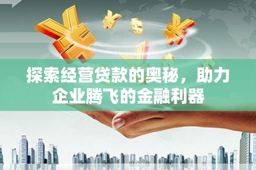 囊谦探索经营贷款的奥秘，助力企业腾飞的金融利器