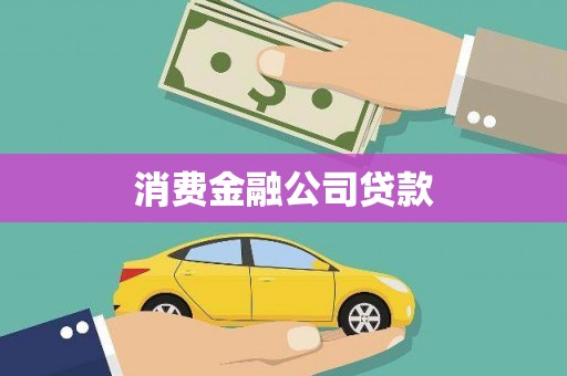 囊谦消费金融公司贷款