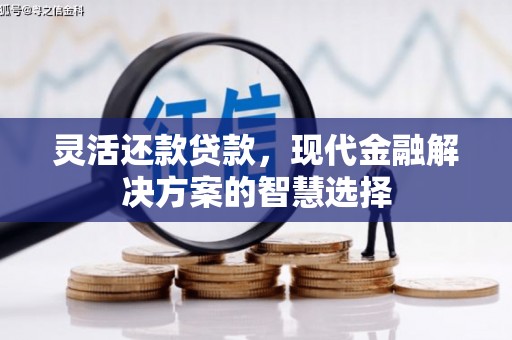 囊谦灵活还款贷款，现代金融解决方案的智慧选择