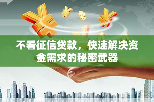 囊谦不看征信贷款，快速解决资金需求的秘密武器