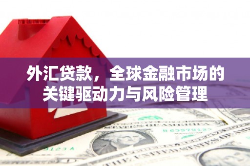 囊谦外汇贷款，全球金融市场的关键驱动力与风险管理
