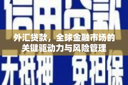 囊谦外汇贷款，全球金融市场的关键驱动力与风险管理