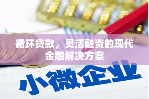 囊谦循环贷款，灵活融资的现代金融解决方案