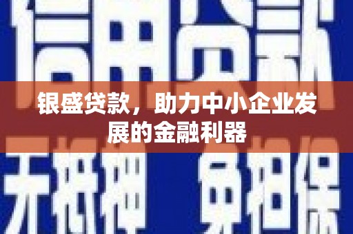 囊谦银盛贷款，助力中小企业发展的金融利器