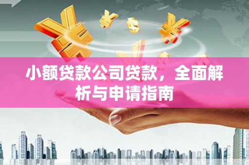 囊谦小额贷款公司贷款，全面解析与申请指南