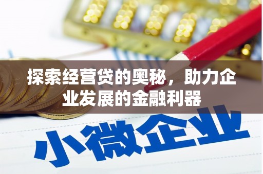 囊谦探索经营贷的奥秘，助力企业发展的金融利器