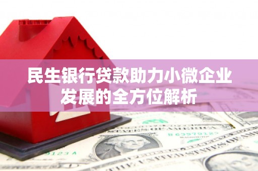 囊谦民生银行贷款助力小微企业发展的全方位解析
