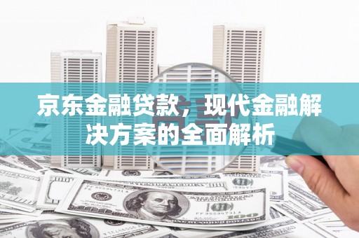 囊谦京东金融贷款，现代金融解决方案的全面解析