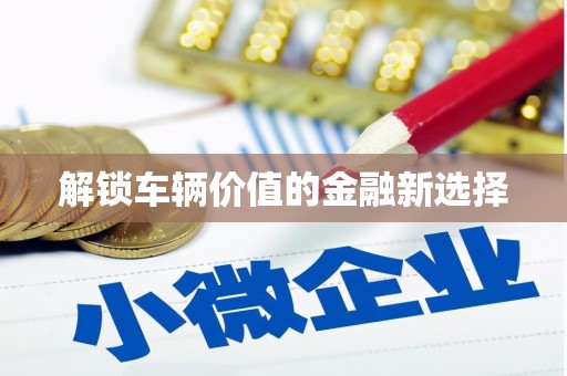 囊谦解锁车辆价值的金融新选择