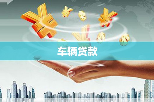 囊谦车辆贷款