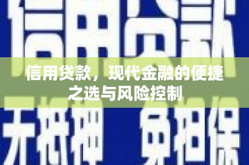 囊谦信用贷款，现代金融的便捷之选与风险控制
