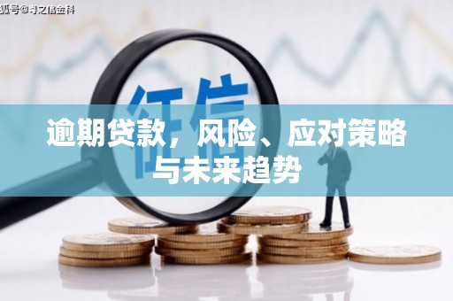 囊谦逾期贷款，风险、应对策略与未来趋势