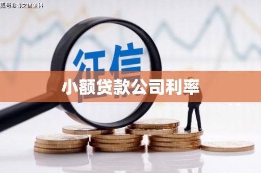 囊谦小额贷款公司利率