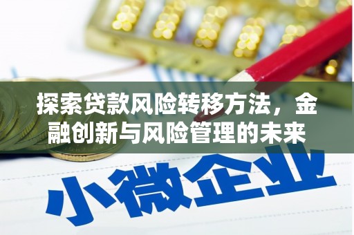 囊谦探索贷款风险转移方法，金融创新与风险管理的未来