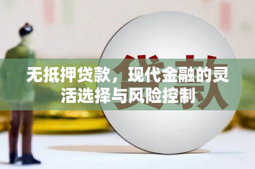 囊谦无抵押贷款，现代金融的灵活选择与风险控制