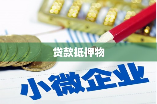 囊谦贷款抵押物