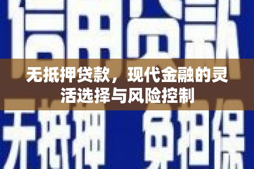 囊谦无抵押贷款，现代金融的灵活选择与风险控制