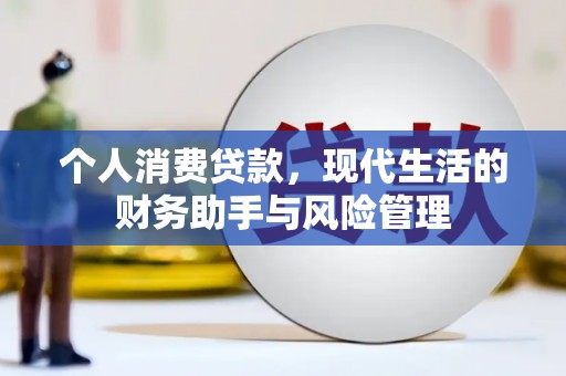 囊谦个人消费贷款，现代生活的财务助手与风险管理