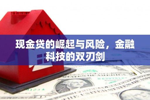 囊谦现金贷的崛起与风险，金融科技的双刃剑