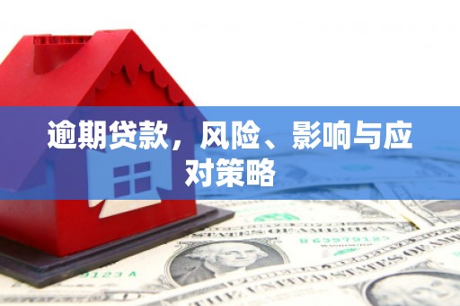囊谦逾期贷款，风险、影响与应对策略