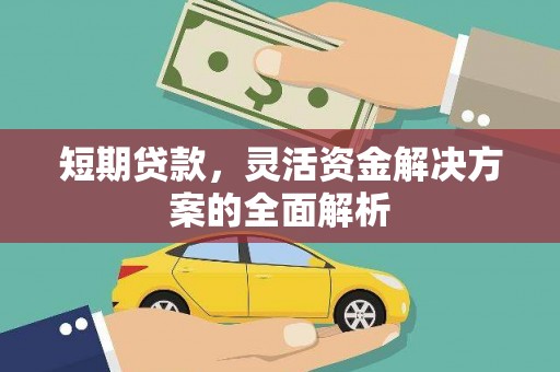 囊谦短期贷款，灵活资金解决方案的全面解析