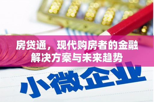 囊谦房贷通，现代购房者的金融解决方案与未来趋势