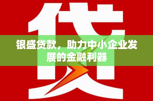 囊谦银盛贷款，助力中小企业发展的金融利器