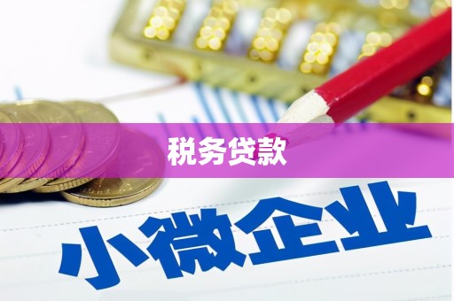 囊谦税务贷款