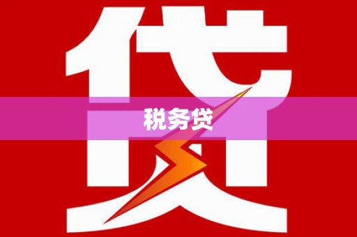 囊谦税务贷
