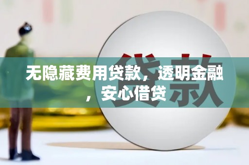 囊谦无隐藏费用贷款，透明金融，安心借贷