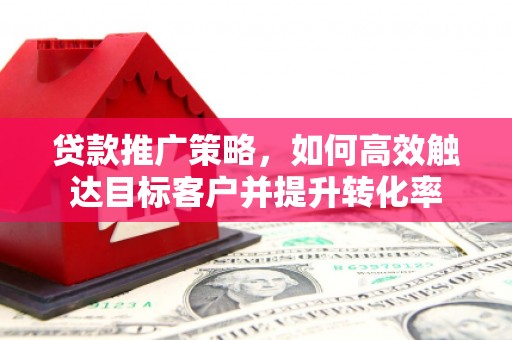囊谦贷款推广策略，如何高效触达目标客户并提升转化率