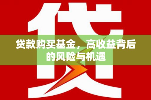 囊谦贷款购买基金，高收益背后的风险与机遇