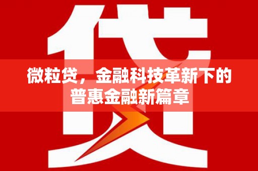 囊谦微粒贷，金融科技革新下的普惠金融新篇章