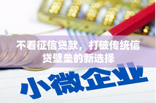 囊谦不看征信贷款，打破传统信贷壁垒的新选择