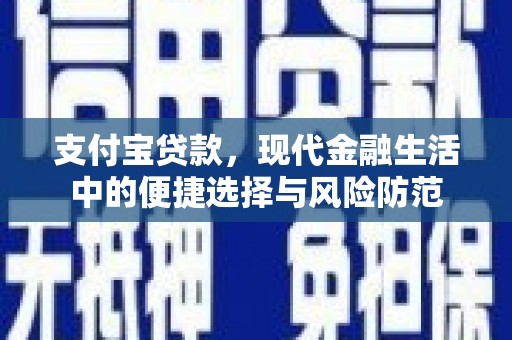 囊谦支付宝贷款，现代金融生活中的便捷选择与风险防范